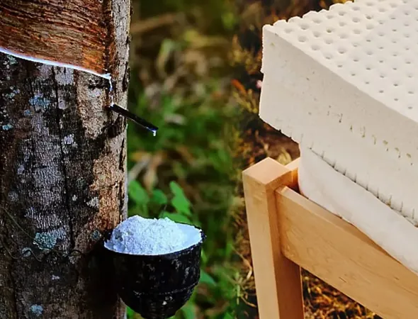 Blog image for why organic mattresses are a must